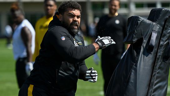 Lolley: The Steelers' top 25? Start with Watt and work down taken on the South Side (Steelers)